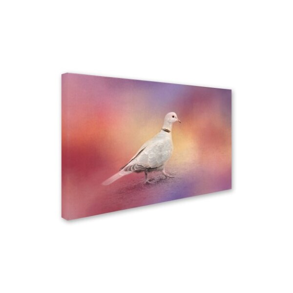 Jai Johnson 'Spring Eurasian Collared Dove' Canvas Art,30x47